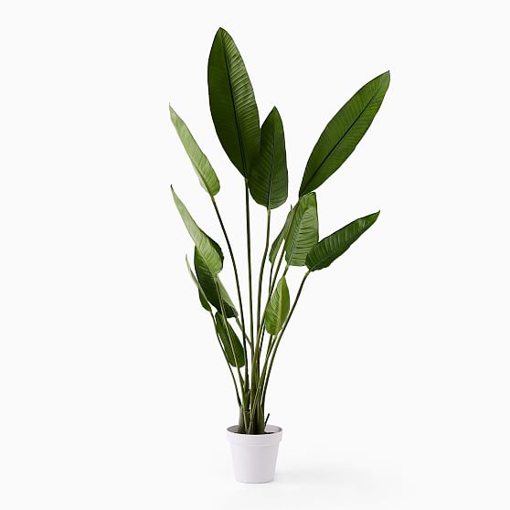 Online Designer Dining Room Faux Potted Bird of Paradise Plant, 6'