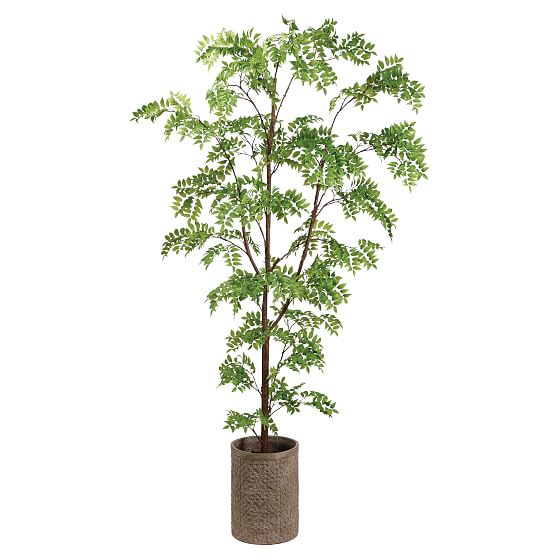 Online Designer Bedroom Faux Potted Wisteria Tree, 8', Green