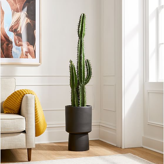Online Designer Bedroom Faux Potted Cactus Plant & Black Bishop Medium Floor Planter Bundle