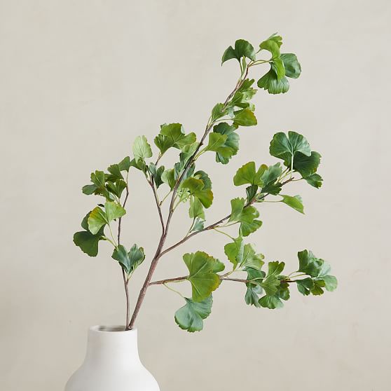 Online Designer Combined Living/Dining Faux Gingko Branch, Green, 48