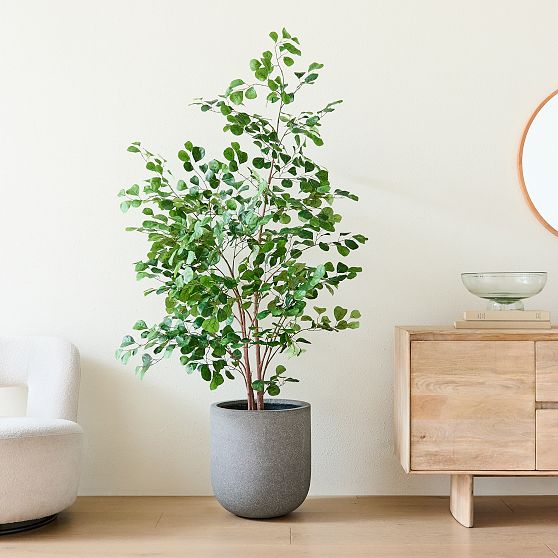 Online Designer Combined Living/Dining Faux Potted Ficus Tree & Radius Storm Gray Medium Floor Planter