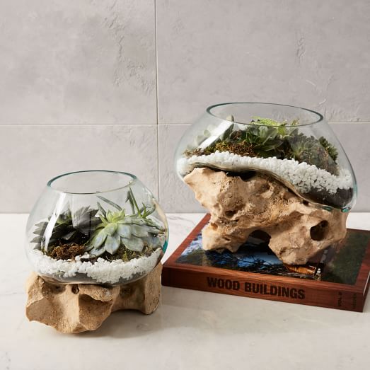 White Stone Terrariums west elm