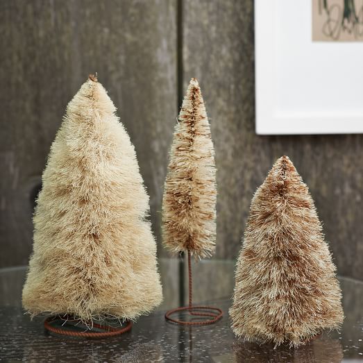 Bottle Brush Trees | west elm