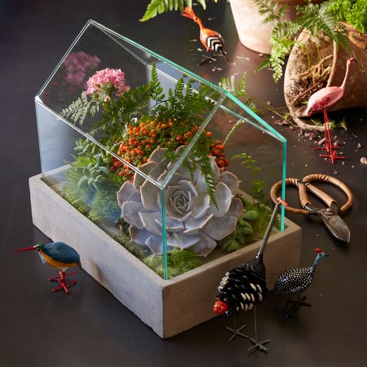 House Terrarium west elm