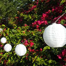 Modern Lighting | west elm