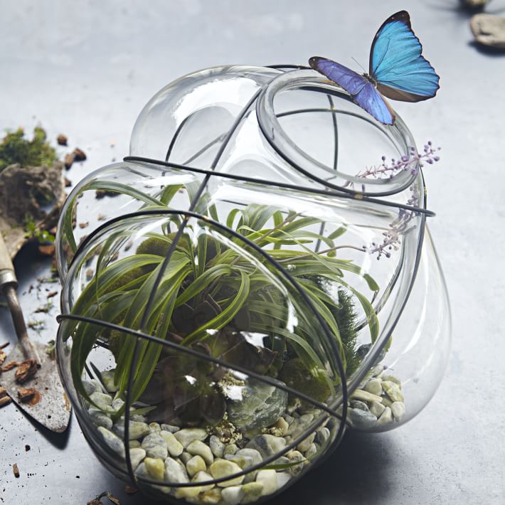 Wire Terrarium west elm