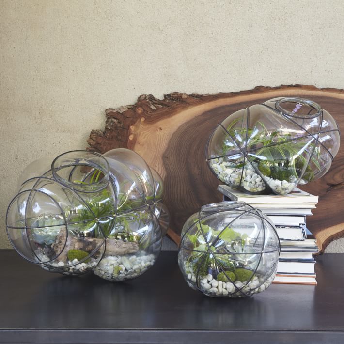 Wire Terrarium west elm