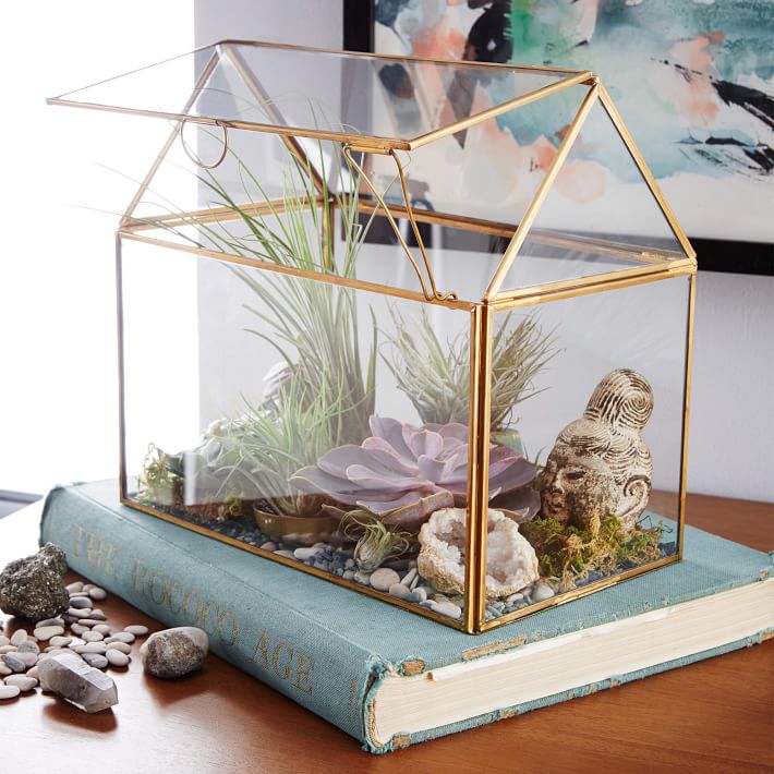 Display Box Terrariums West Elm