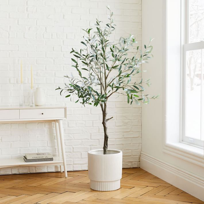 Faux Olive Tree & Large White Fluted Planter Set West Elm