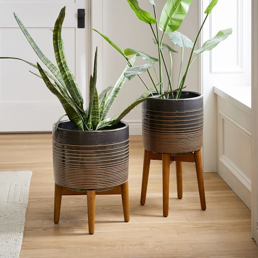 Indoor Planters & Terrariums West Elm